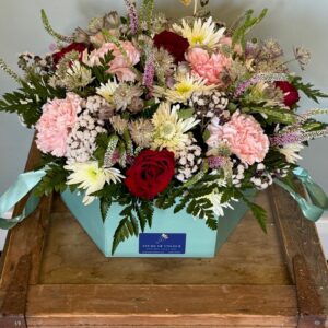 Bloom Box